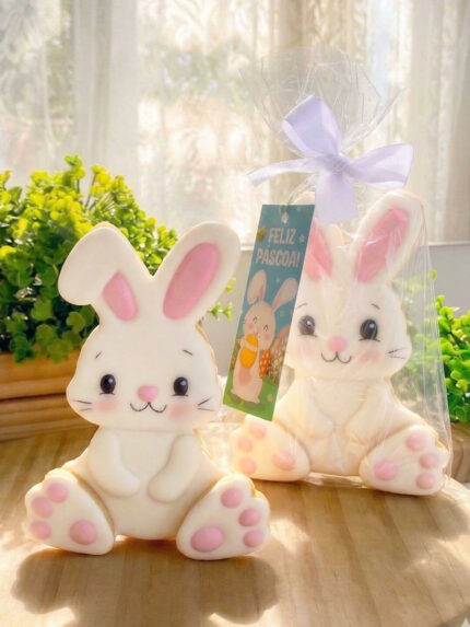 Coelho Sentado ❤️