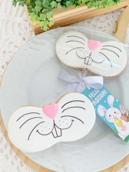 Focinho do coelho 🐰